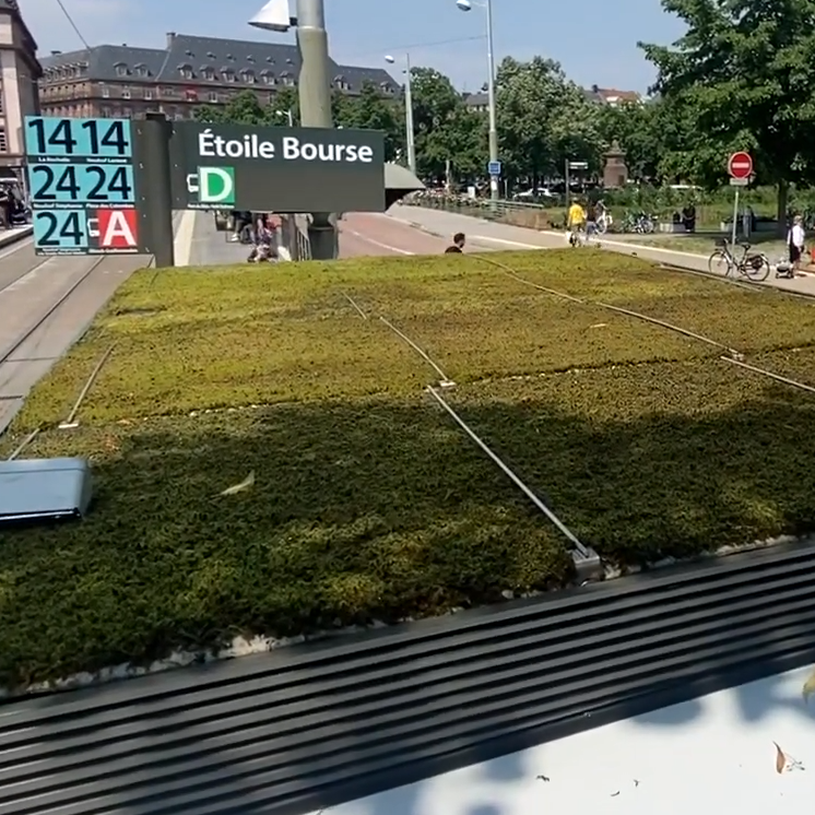 Strasbourg : des abris de bus nouvelle génération actuellement...